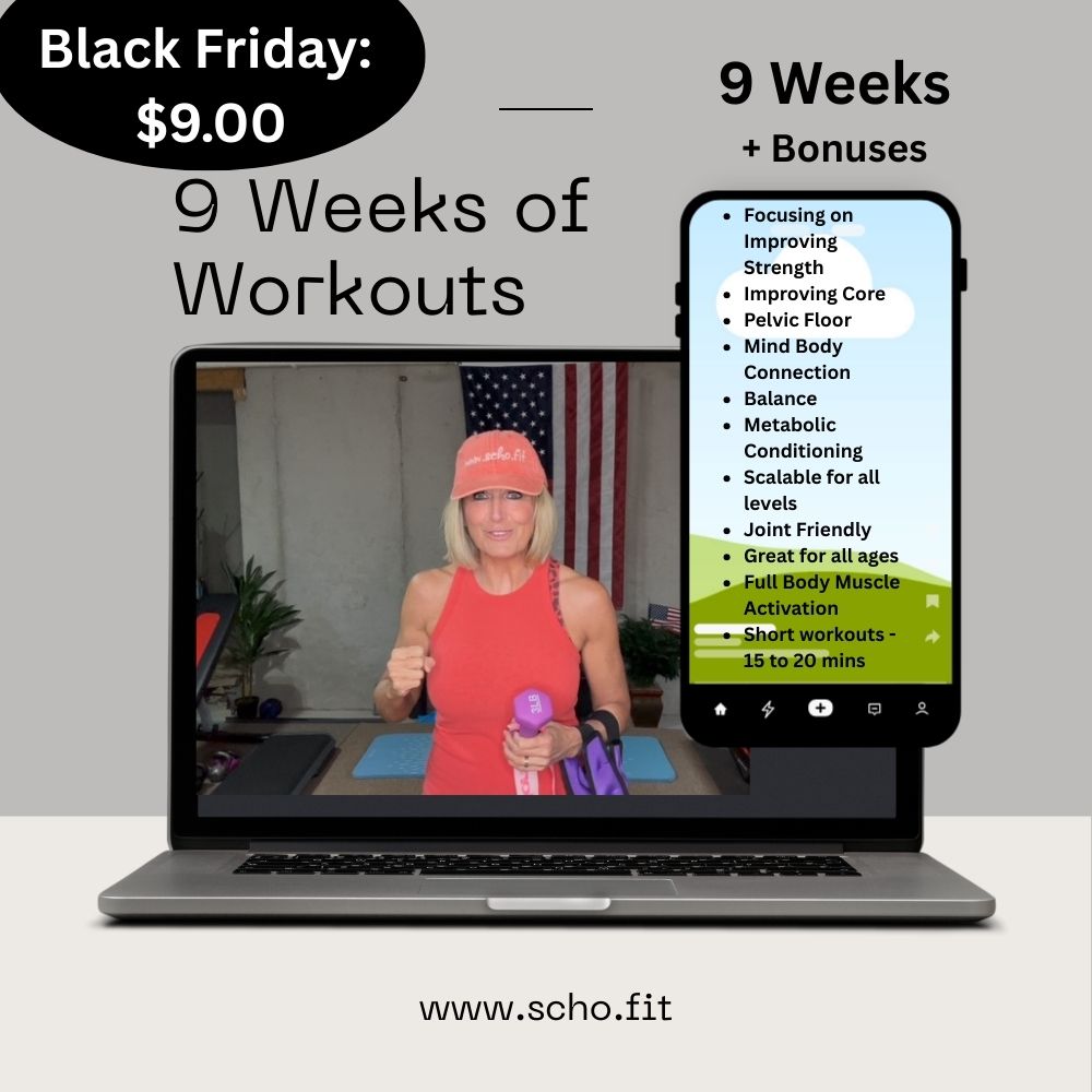 Gift: Health Audit Plus 2 MIni Programs