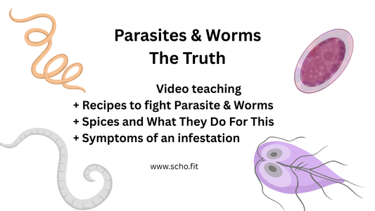 Parasites and Worms The Truth