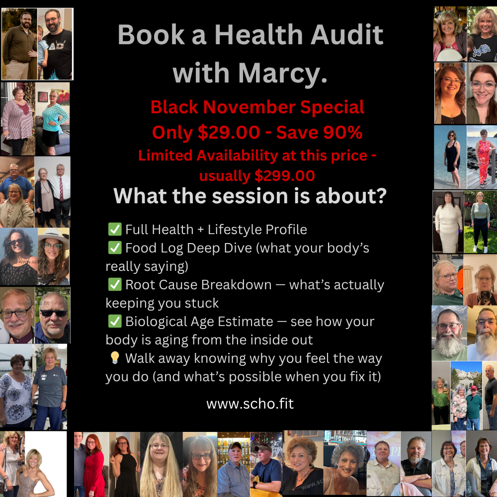 Gift: Health Audit Plus 2 MIni Programs
